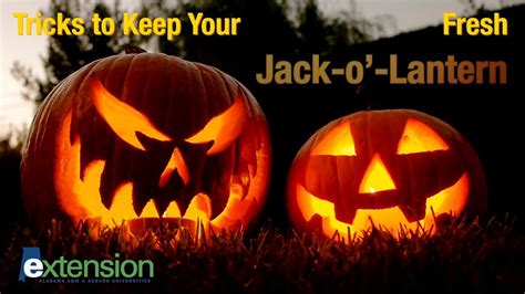 The art and science of animated jack o' lanterns: Exploring the code behind the magic